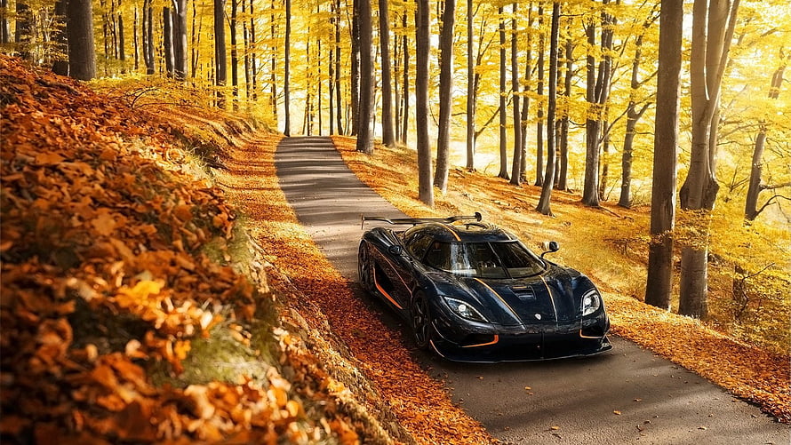 Black Koenigsegg Agera RS parked on a winding forest road surrounded by golden autumn foliage HD wallpaper