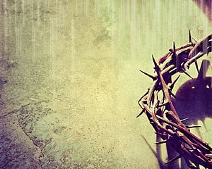 Crown of Thorns on Textured Stone Background for Easter and Holy Week HD wallpaper