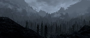 Dark Misty Mountain Landscape With Pine Forest And Foggy Peaks HD wallpaper