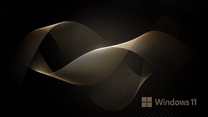 Windows 11 Default Wallpaper Featuring Golden Wavy Lines on Black Background HD wallpaper