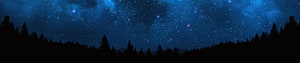 Starry Night Sky Over Silhouetted Pine Forest Landscape HD wallpaper
