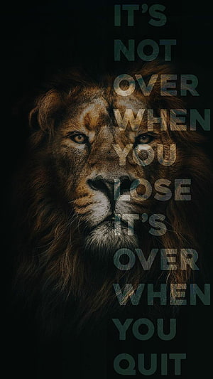 Motivational Lion Wallpaper With Inspirational Quote About Never Quitting HD phone wallpaper