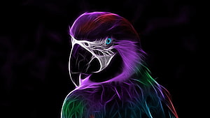 Neon Parrot Linux Mascot with Glowing Purple and Green Feathers on Black Background HD wallpaper