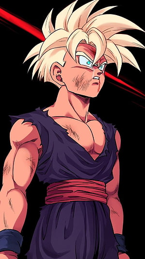 Goku Super Saiyan 3 Anime Character Portrait HD phone wallpaper