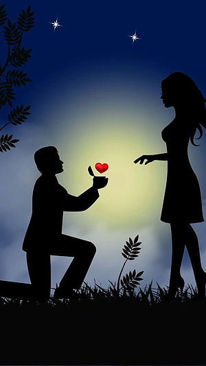 Romantic Marriage Proposal Silhouette With Glowing Heart Under Starry Night Sky, Whatsapp D.p, Couple, Love HD phone wallpaper