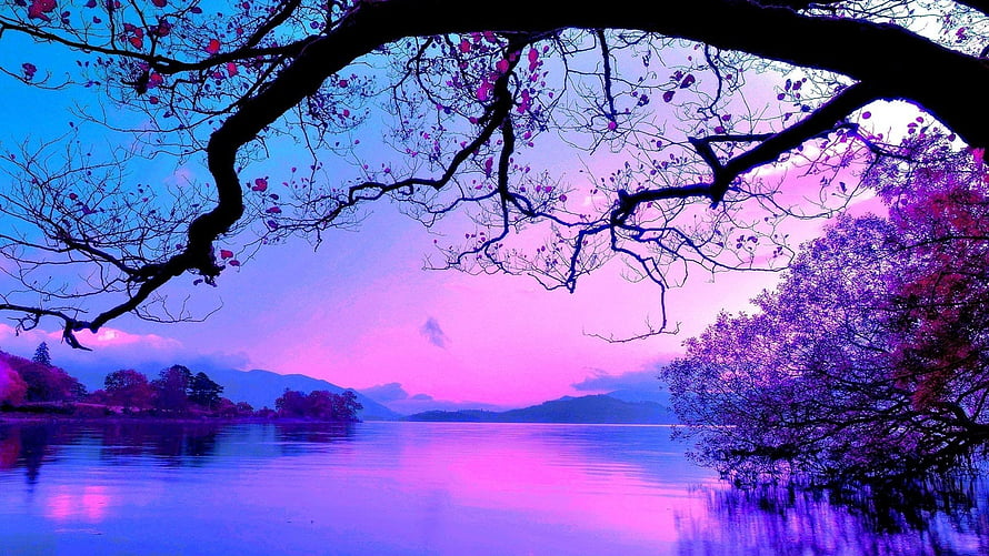 Vibrant Purple and Blue Sunset Over a Calm Lake with Silhouetted Tree Branches HD wallpaper