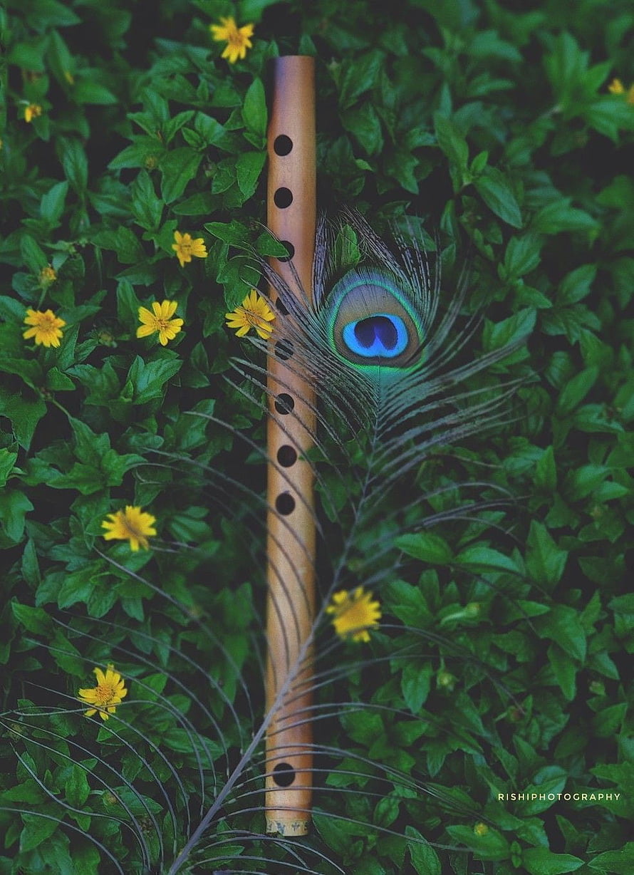 Bamboo Flute and Peacock Feather on Green Leaves with Yellow Flowers HD phone wallpaper