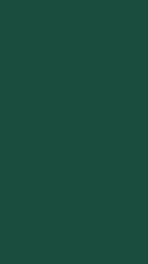 Dark Forest Green Solid Color Background HD phone wallpaper