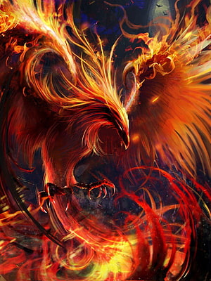 Fiery Phoenix Bird Rising in Dramatic Flames and Embers HD phone wallpaper