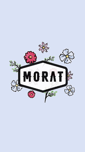 Morat Band Logo with Hand-Drawn Floral Illustration on Light Blue Background HD phone wallpaper