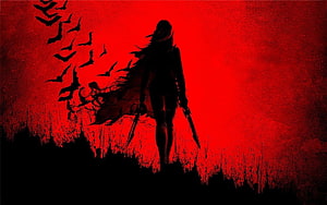 Dark Silhouette of a Warrior with Dual Swords Against a Blood-Red Sky HD wallpaper