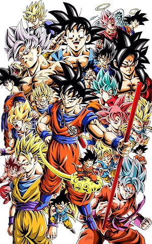 Dragon Ball Super Goku All Transformations Artwork HD phone wallpaper