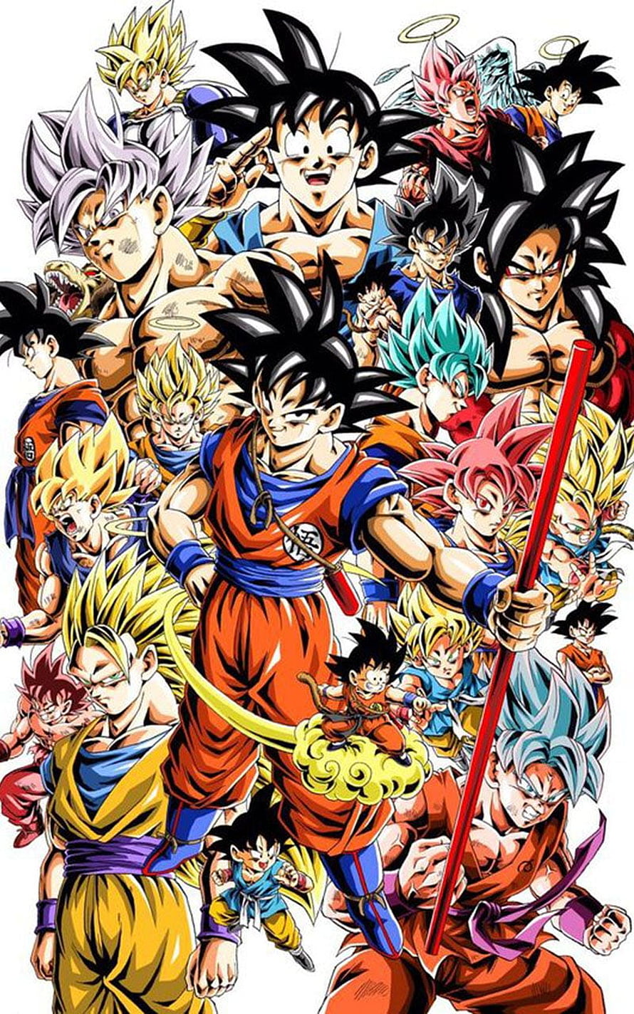 Dragon Ball Super Goku All Transformations Artwork HD phone wallpaper