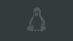 Minimalist Tux the Linux Penguin Logo on Dark Gray Background HD wallpaper