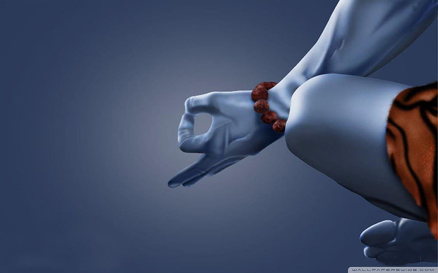 Blue Skinned Hindu Deity Hand in Meditation Mudra with Tiger Skin and Rudraksha Beads HD wallpaper