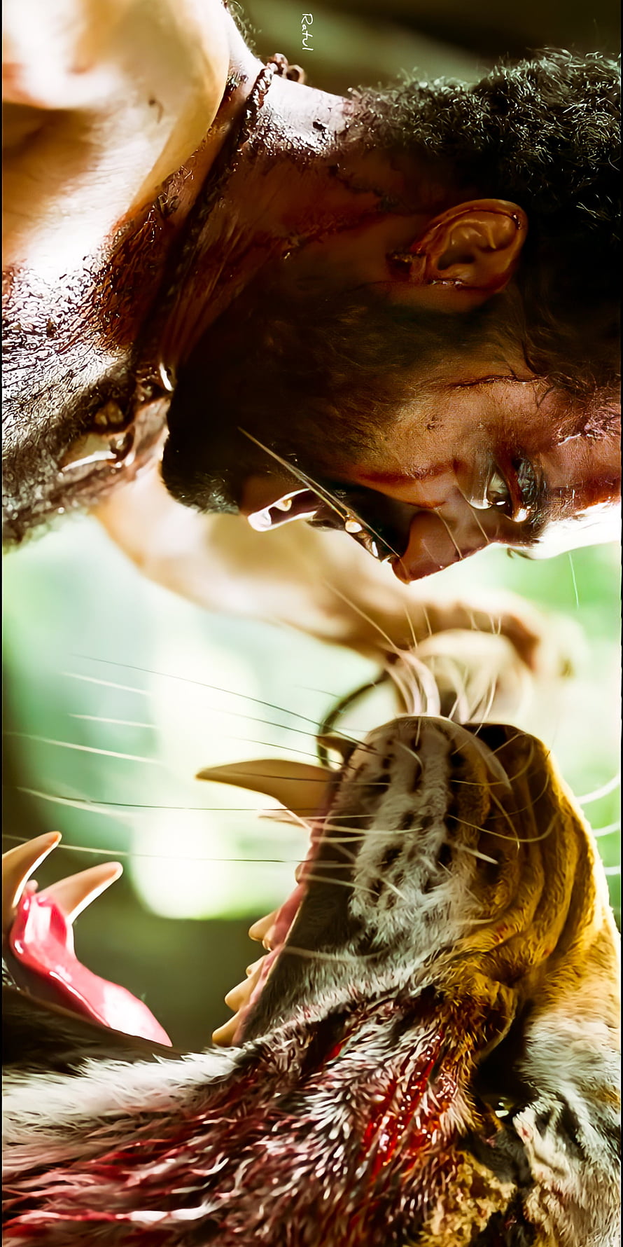 Intense Close-Up of a Bloodied Man Facing a Snarling Tiger in a Dramatic Fantasy Scene, RRR, Tarak, jr NTR, beauty, tiger, ntr HD phone wallpaper