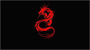 Red Tribal Dragon Silhouette on Black Background HD wallpaper