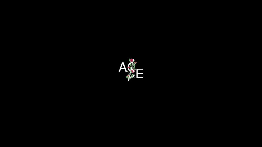 A$AP Rocky Logo Wallpaper with Floral Vine Design on Black Background HD wallpaper