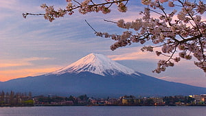 Mount Fuji at sunset framed by cherry blossom branches over a calm lake HD wallpaper