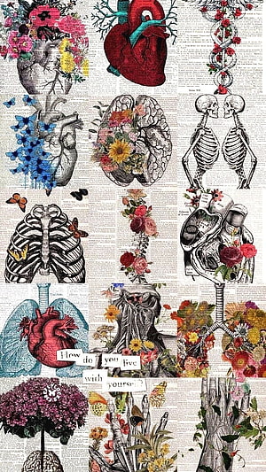 Vintage Anatomical Illustration Collage with Botanical Flowers and Skeletons HD phone wallpaper