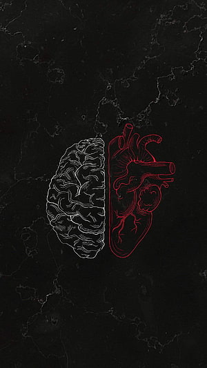 Minimalist White Brain and Red Heart Line Art on Dark Marble Texture Background HD phone wallpaper