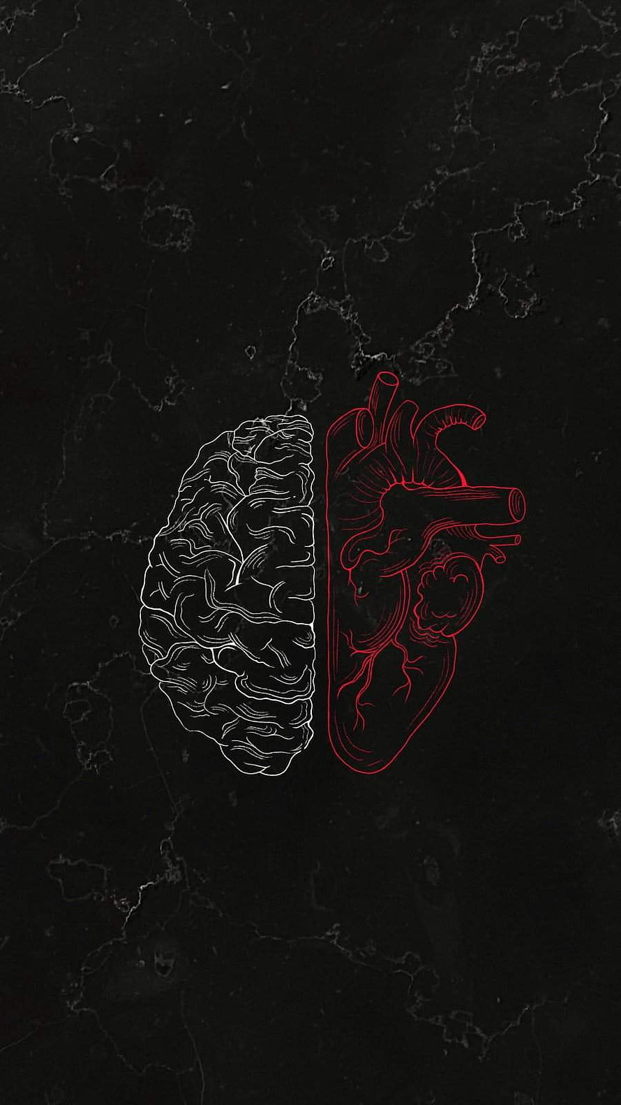 Minimalist White Brain and Red Heart Line Art on Dark Marble Texture Background HD phone wallpaper