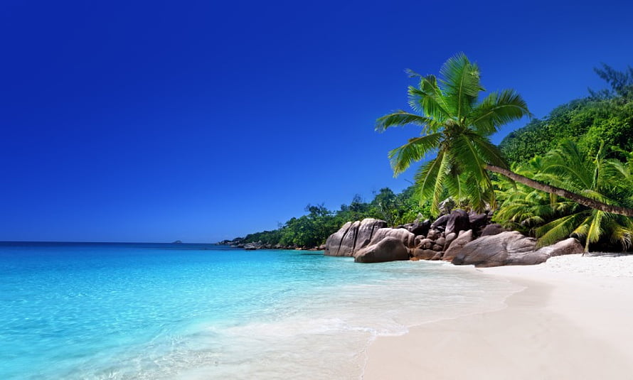 Serene tropical beach with turquoise water, white sand, and leaning palm trees under a clear blue sky HD wallpaper