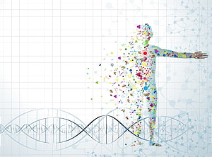 Human Silhouette Filled with Colorful Molecules and DNA Helix on Grid Background, medical, Biology, Detail, Medicine, Psychedelic, Science, Abstract, Abstraction, Chemistry, Genetics / and Mobile Background, Biology Minimalist HD wallpaper