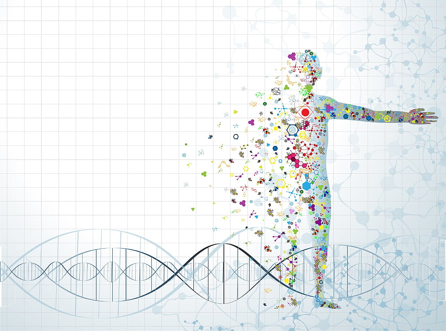 Human Silhouette Filled with Colorful Molecules and DNA Helix on Grid Background, medical, Biology, Detail, Medicine, Psychedelic, Science, Abstract, Abstraction, Chemistry, Genetics / and Mobile Background, Biology Minimalist HD wallpaper