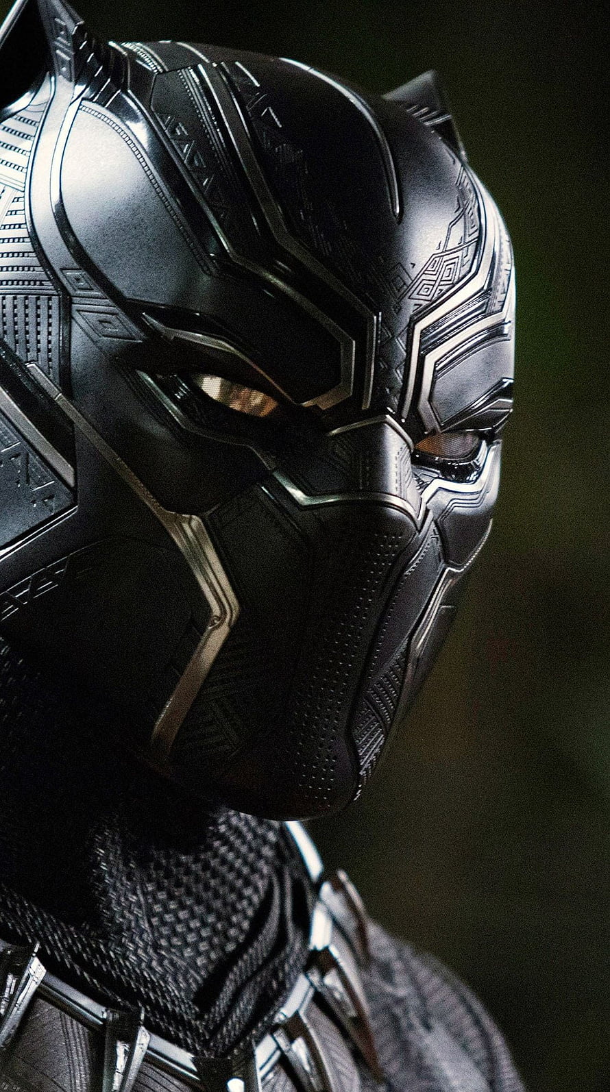Black Panther Close-Up Portrait in Black Suit with Silver Accents HD phone wallpaper