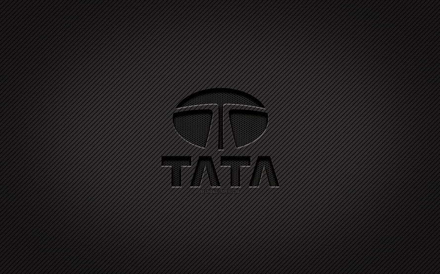 Tata Motors Carbon Fiber Logo on Dark Textured Background HD wallpaper