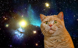 Orange Tabby Cat Gazing at a Vibrant Cosmic Nebula and Starfield HD wallpaper