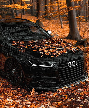 Black Audi A6 C7 in Autumn Forest with Orange Leaves HD phone wallpaper