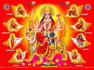 Navratri Matrika Deities Illustration Featuring Durga Riding a Tiger HD wallpaper