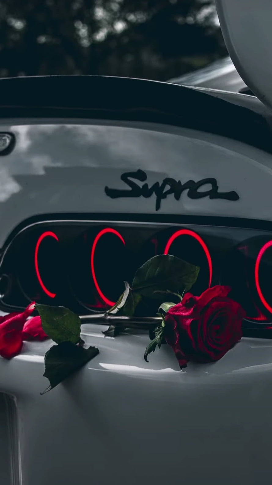White Toyota Supra Rear Detail With Red Roses And Circular Taillights HD phone wallpaper