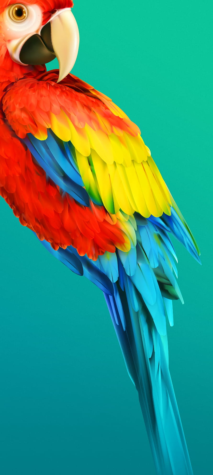 Vibrant Scarlet Macaw Parrot with Red Yellow and Blue Feathers on Teal Background HD phone wallpaper