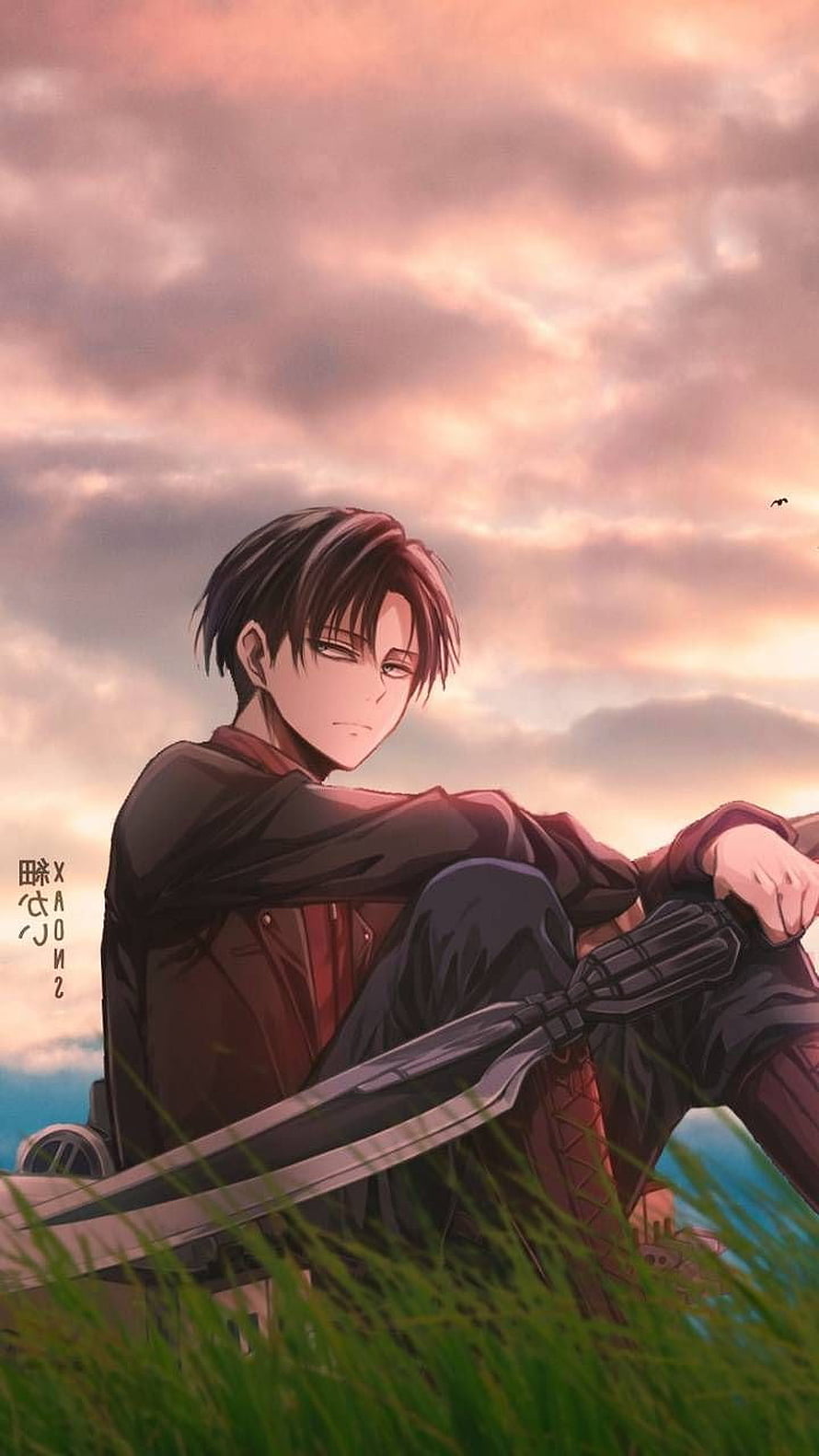 Levi Ackerman from Attack on Titan sitting in grass with sword at sunset, Levi Ackerman, Cute Levi HD phone wallpaper