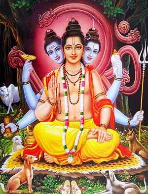 Lord Shiva Trinetra with Trishul and Dogs Sitting on Leopard Skin HD phone wallpaper