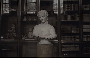 Classical Marble Bust in a Dark Academia Library with Antique Books and Curiosities HD wallpaper