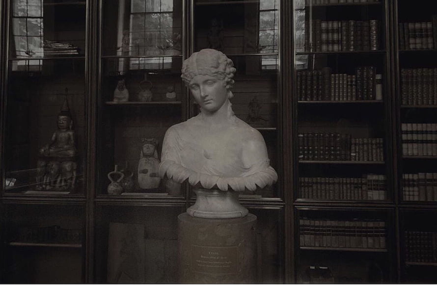 Classical Marble Bust in a Dark Academia Library with Antique Books and Curiosities HD wallpaper