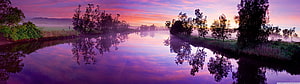 Misty River at Dawn with Vibrant Purple and Pink Sky Reflections HD wallpaper