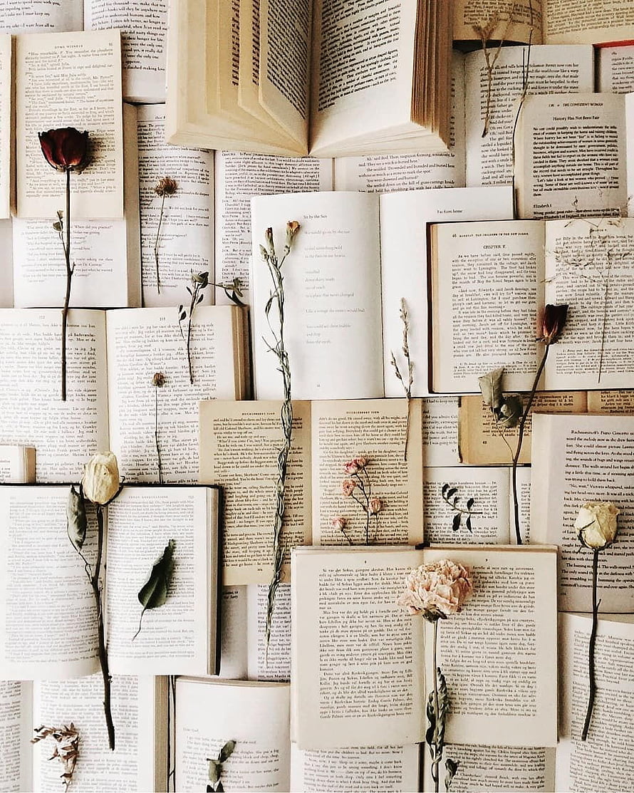 Vintage Open Books With Dried Roses and Botanical Stems in Warm Sepia Tones HD phone wallpaper