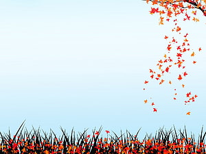Autumn Maple Leaves Falling Over Silhouetted Grass Against a Pale Sky HD wallpaper