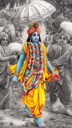 Lord Krishna Walking in Yellow Robes with Peacock Feather Crown and Floral Garlands HD phone wallpaper