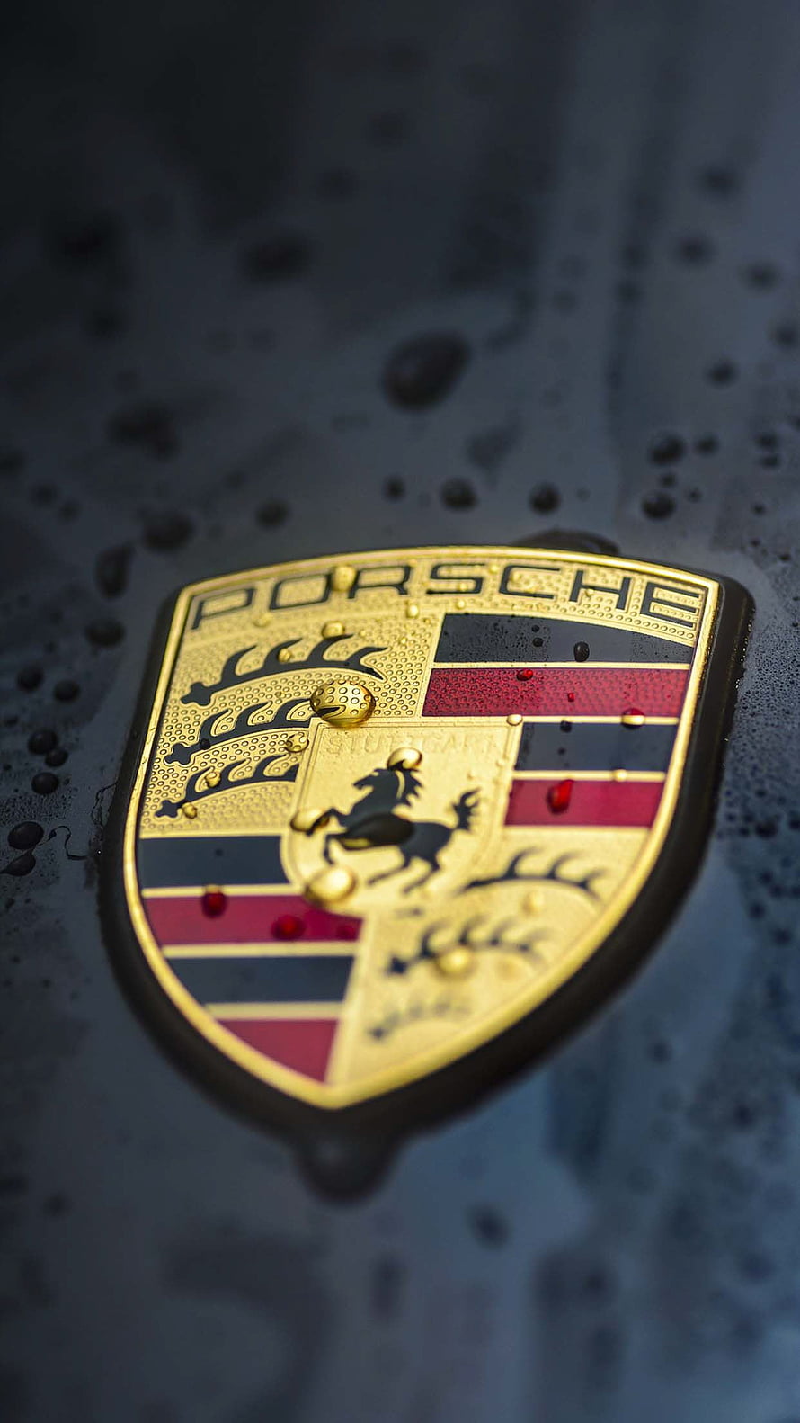 Close-Up of Wet Porsche Emblem on Dark Car Hood HD phone wallpaper