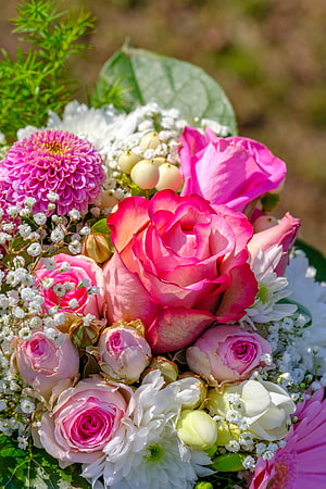 Vibrant Pink and White Rose Bouquet with Baby's Breath and Chrysanthemums HD phone wallpaper