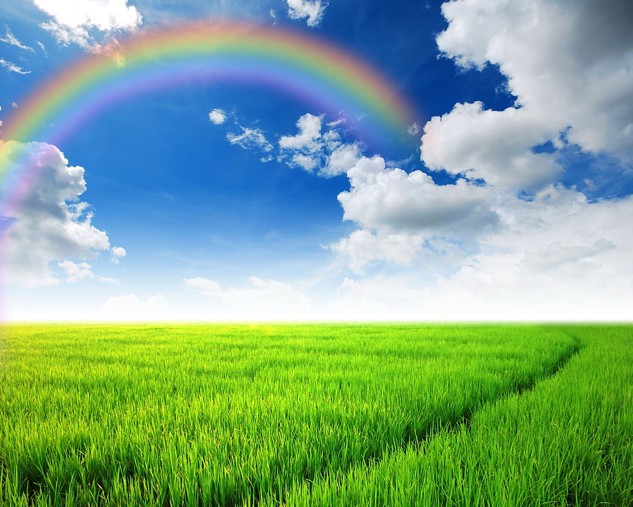 Vibrant Green Meadow Under Blue Sky With Rainbow And Fluffy White Clouds HD wallpaper