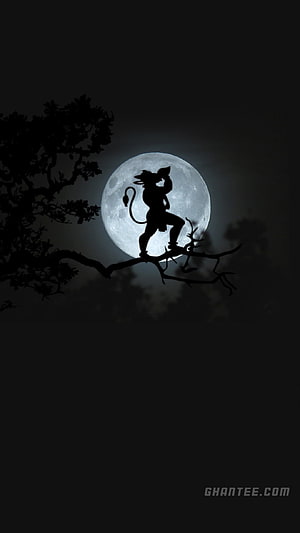 Silhouette of Hanuman on a tree branch against a full moon, hanuman black and white – Ghantee HD phone wallpaper