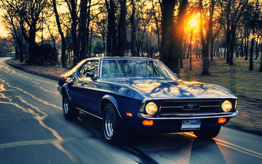 Classic Ford Mustang Fastback Cruising on a Tree-Lined Road at Golden Hour HD wallpaper