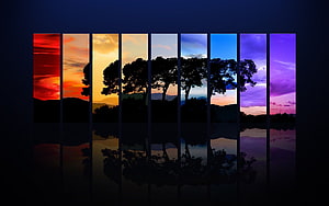Colorful Sunset Landscape Divided Into Vertical Strips With Tree Silhouette HD wallpaper